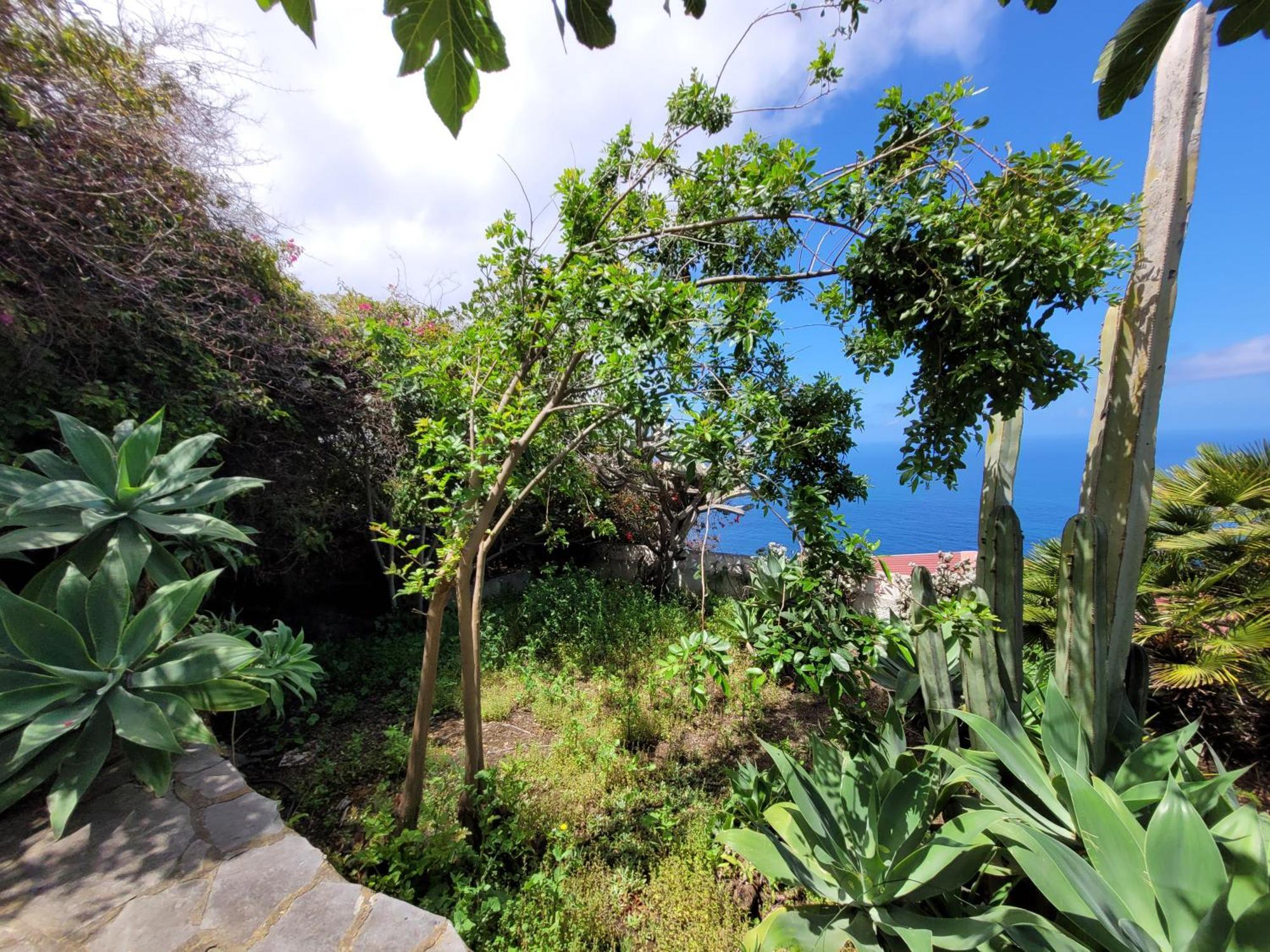 Willkommen Im Paradies - Welcome In Paradise - Bienvenidos Al Paraiso La Matanza De Acentejo Εξωτερικό φωτογραφία