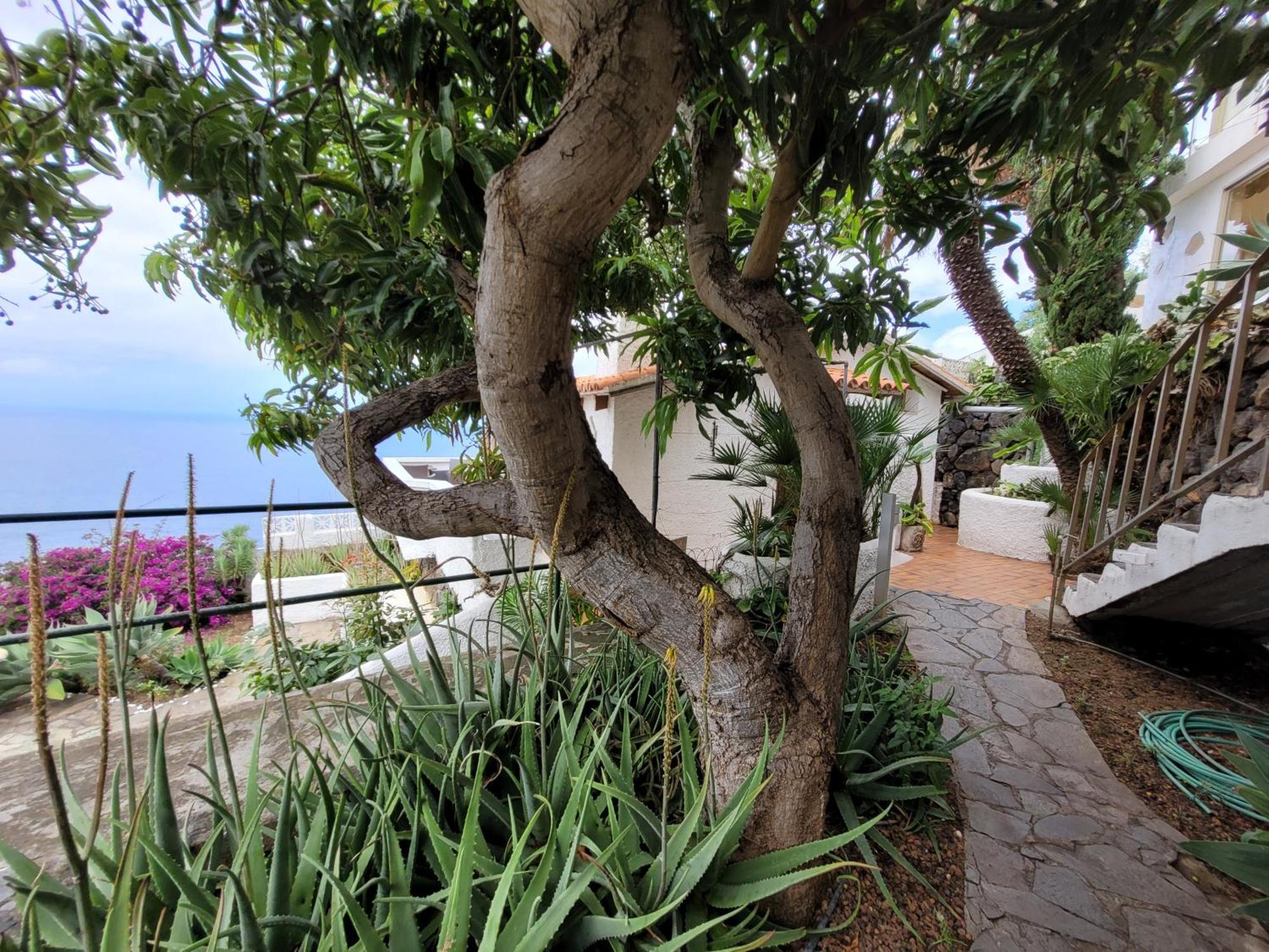 Willkommen Im Paradies - Welcome In Paradise - Bienvenidos Al Paraiso La Matanza De Acentejo Εξωτερικό φωτογραφία